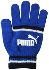 Puma Cat Logo Black/Blue Winter Gloves