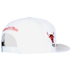 Mitchell & Ness NBA Chicago Bulls Heritage Script Cap