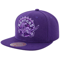 Mitchell & Ness NBA Toronto Raptors Monochrome Tic Purple Cap