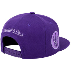 Mitchell & Ness NBA Toronto Raptors Monochrome Tic Purple Cap