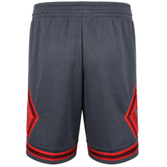 Mitchell & Ness NBA Chicago Bulls Space Swingman Mens Grey Shorts