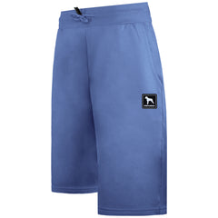 One True Saxon Dexon Mens Blue Shorts