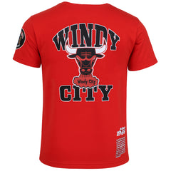 Mitchell & Ness NBA Chicago Bulls Origins Mens Red T-Shirt