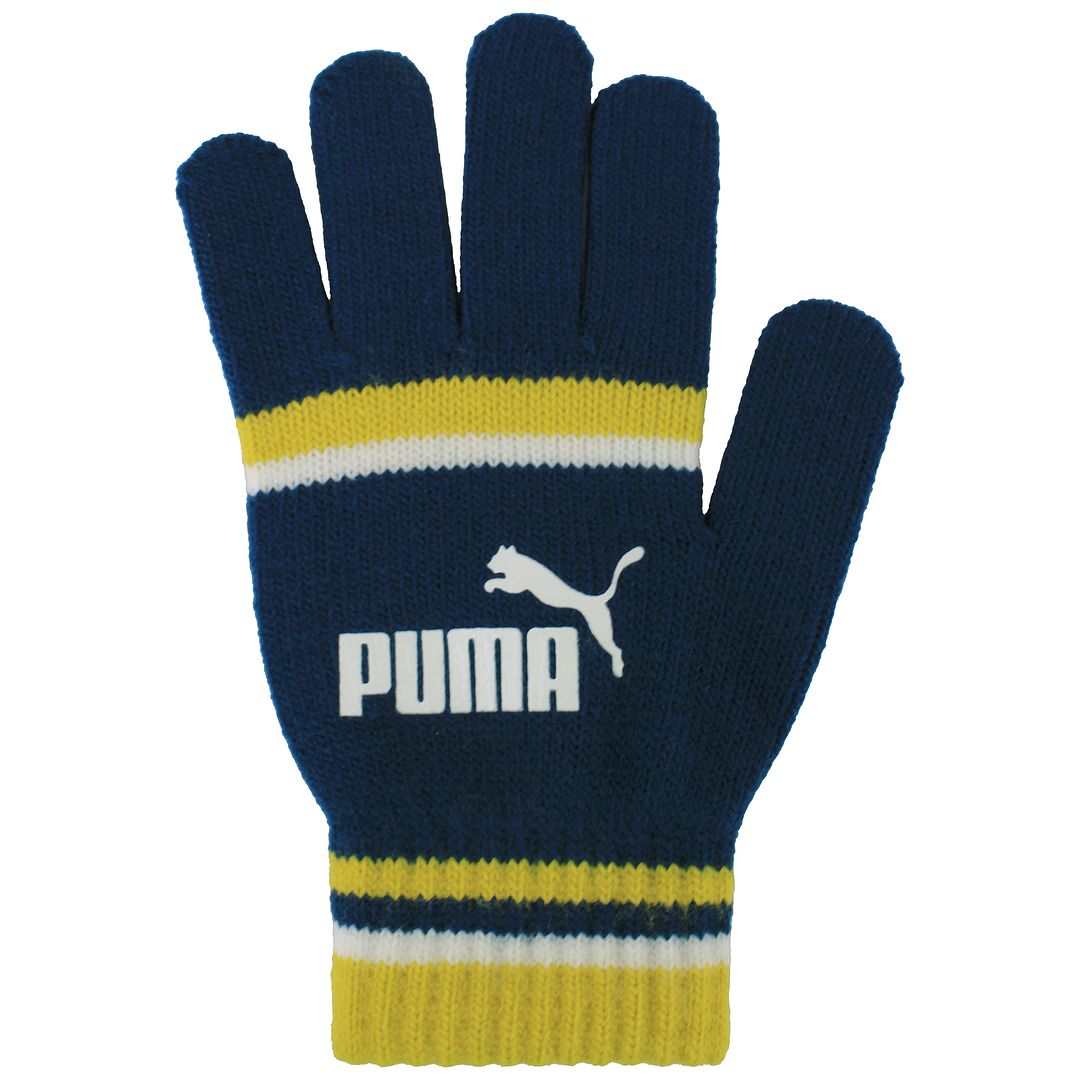 Puma Cat Magic Mens Teal/Yellow Winter Gloves