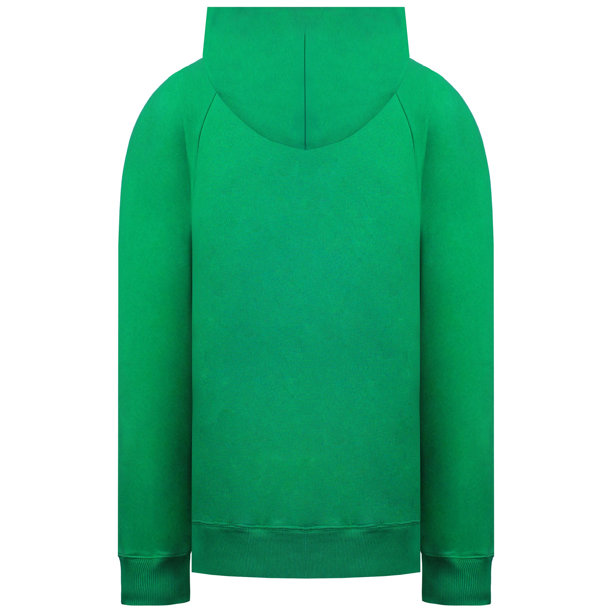 Champion Santa Ana College Mens Green Hoodie