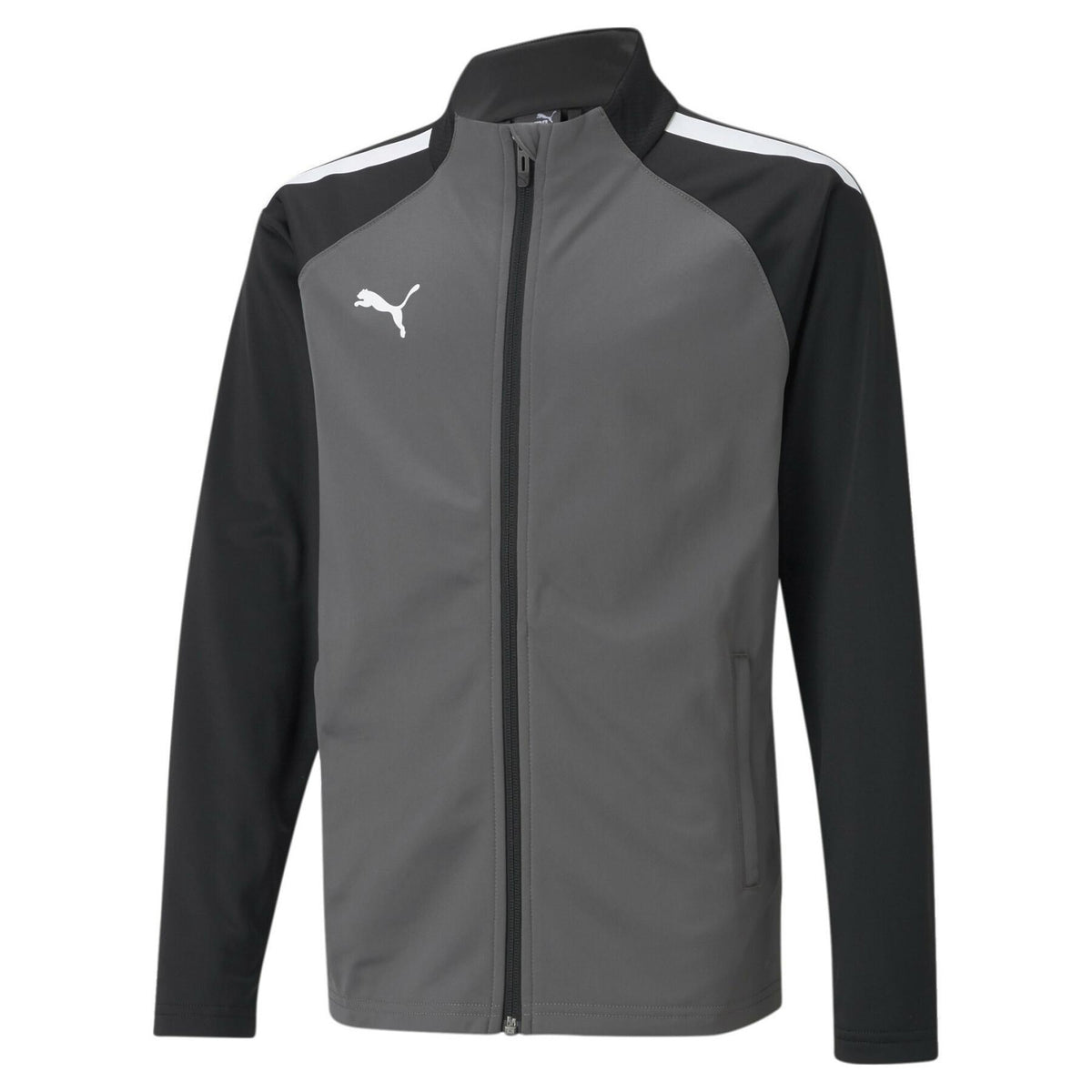 Puma TeamLiga Kids Grey Training Jacket