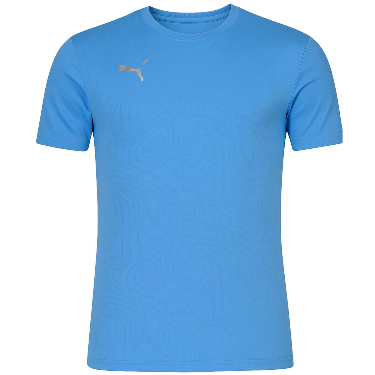 Puma teamFinal Mens Blue Training T-Shirt