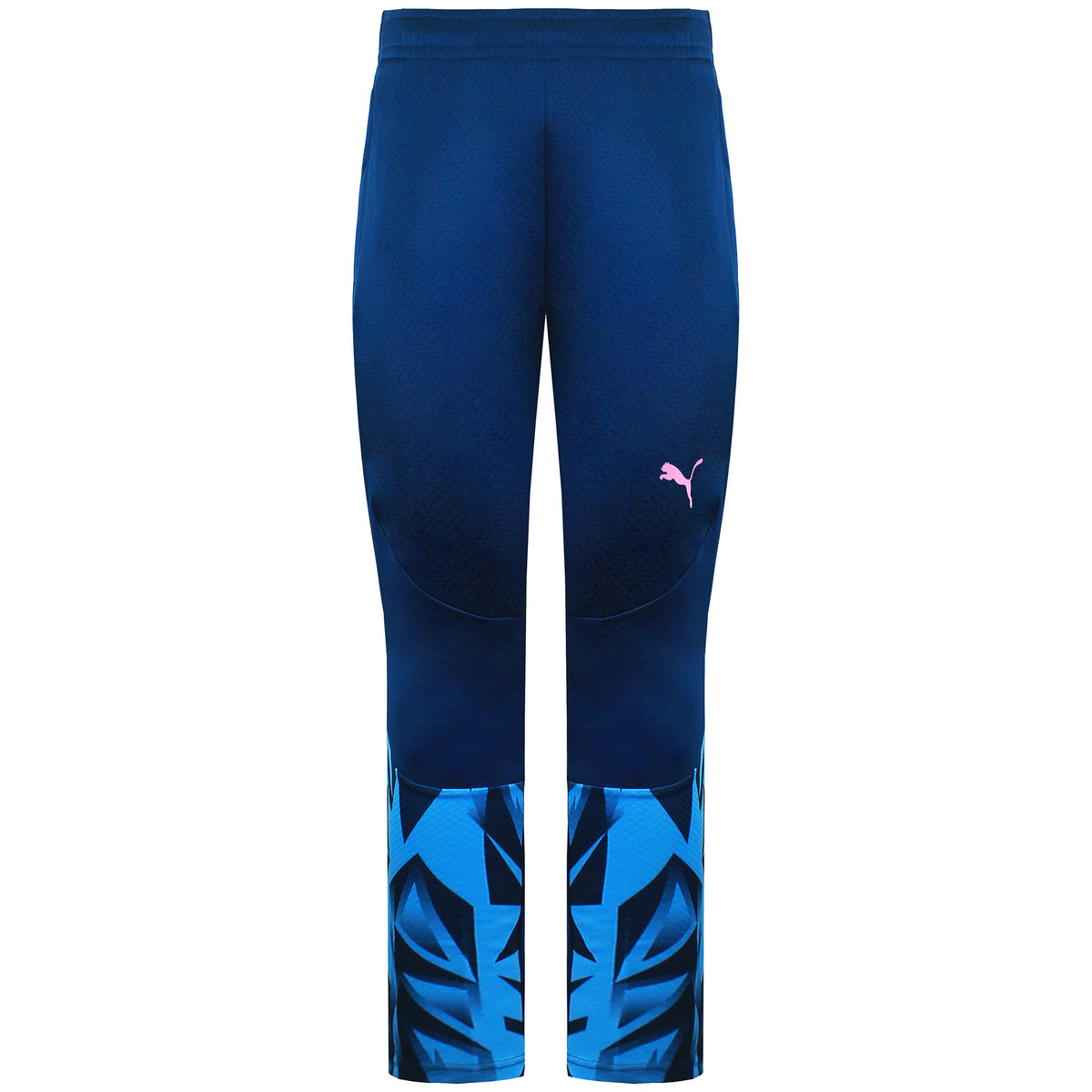 Puma IndividualFinal Mens Blue Track Pants