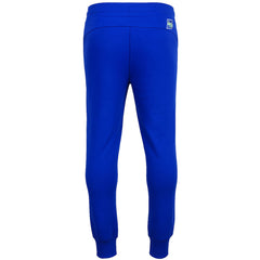 Puma Individual Mens Blue Padel Pants
