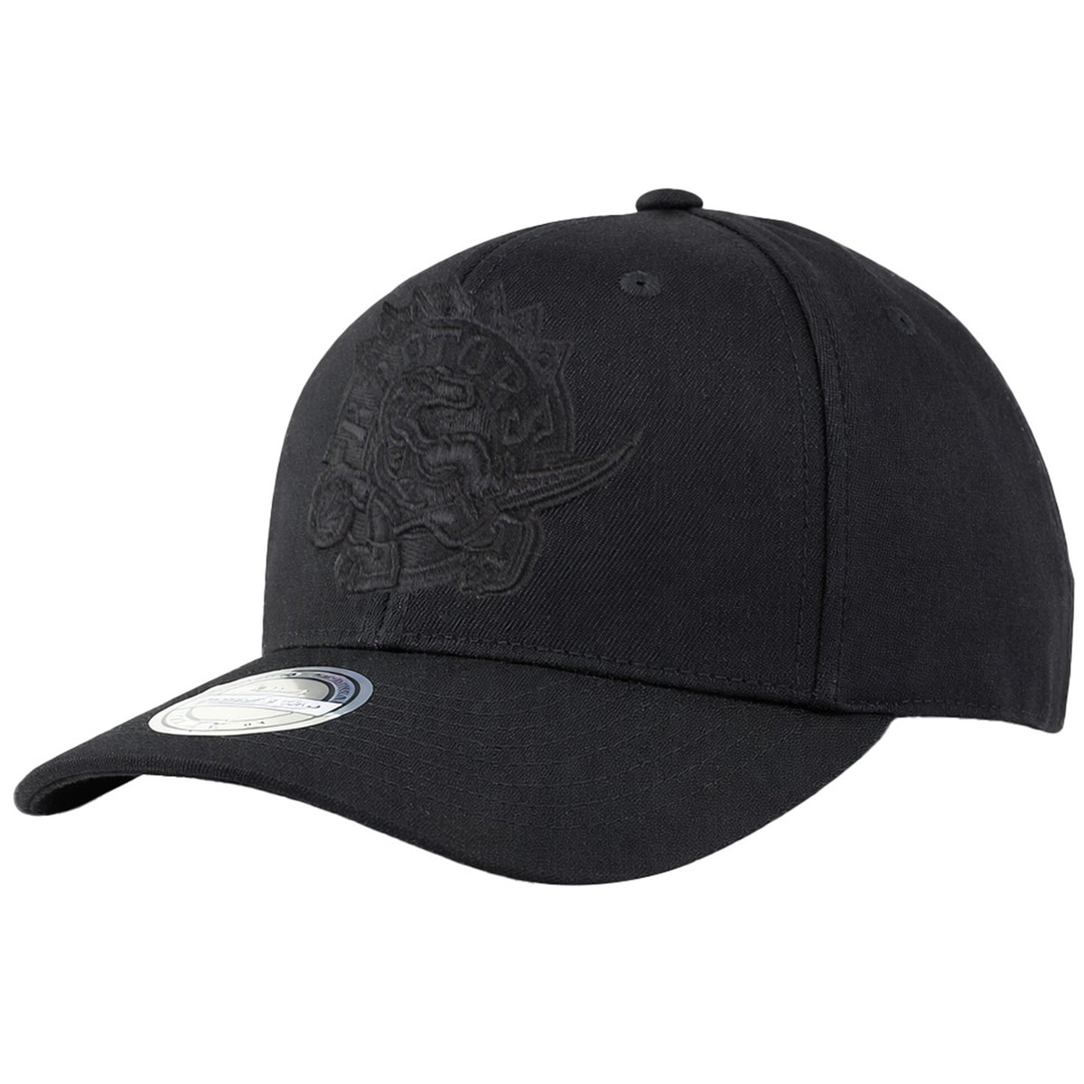 Mitchell & Ness NBA Toronto Raptors 110 Logo Black Cap