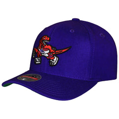 Mitchell & Ness NBA Toronto Raptors Team Ground Cap