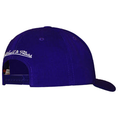 Mitchell & Ness NBA Toronto Raptors Team Ground Cap
