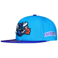 Mitchell & Ness NBA Charlotte Hornets Team Orgins Cap