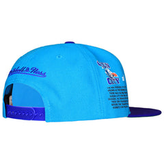 Mitchell & Ness NBA Charlotte Hornets Team Orgins Cap