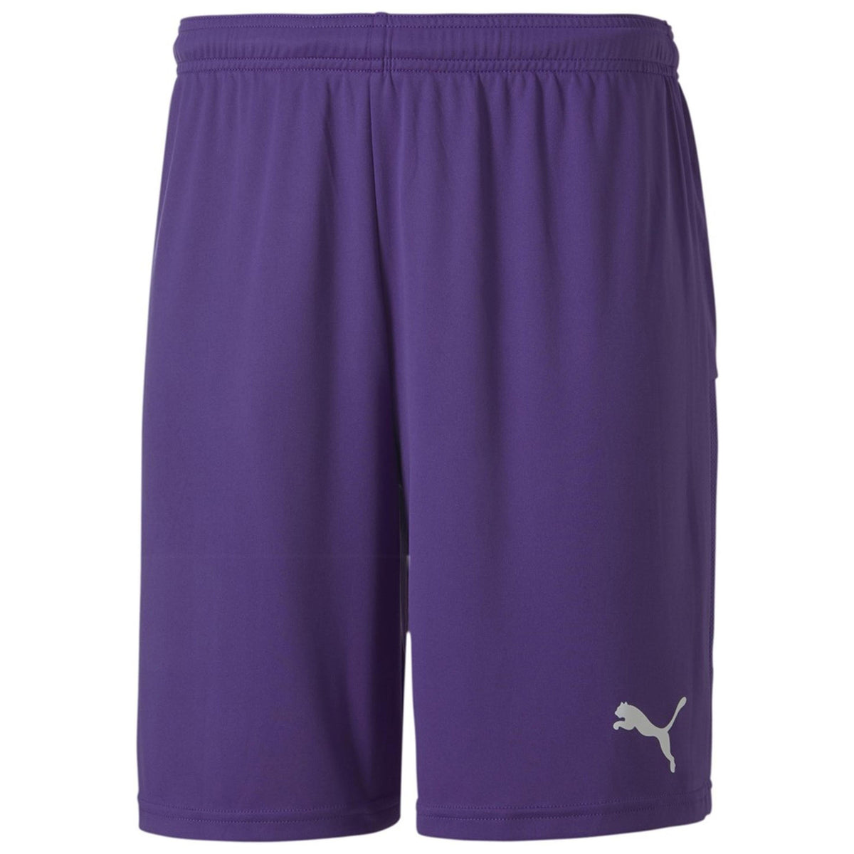 Puma teamGoal 23 Knit Mens Purple Shorts