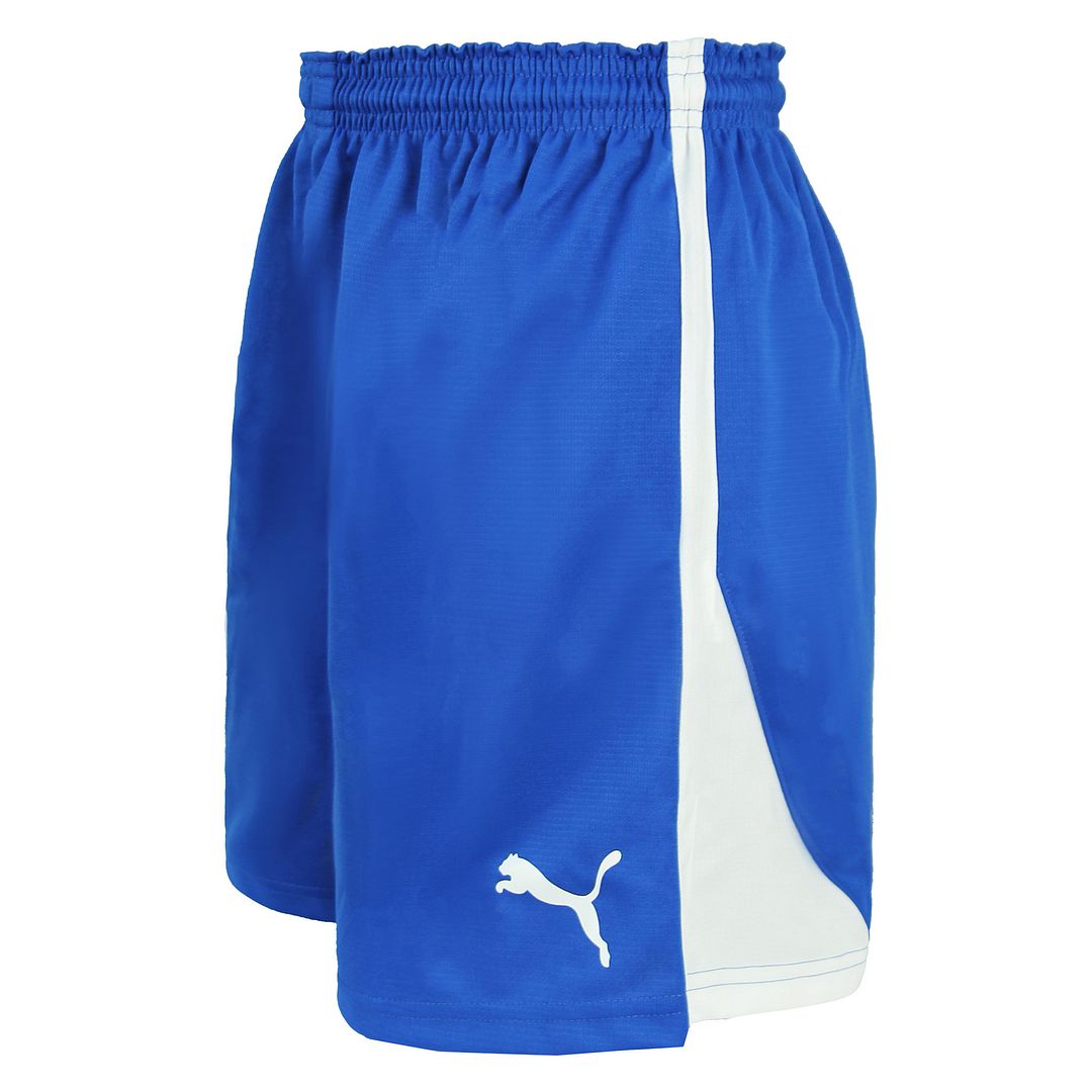 Puma V5.06 Handball Womens Blue/White Shorts