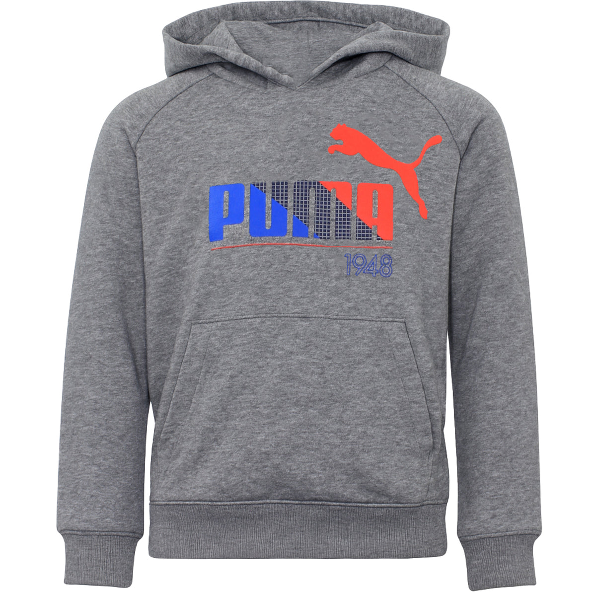 Puma TD Graphic Kids Grey Hoodie