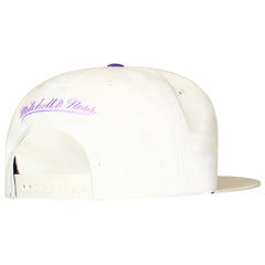 Mitchell & Ness NBA Chicago Bulls Reframe Retro Cap