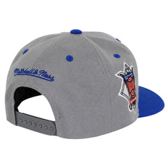 Mitchell & Ness MLB Los Angeles Dodgers Crown Jewels Pro Grey Cap