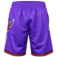 Mitchell & Ness NBA Toronto Raptors Big Face Mens Purple Shorts