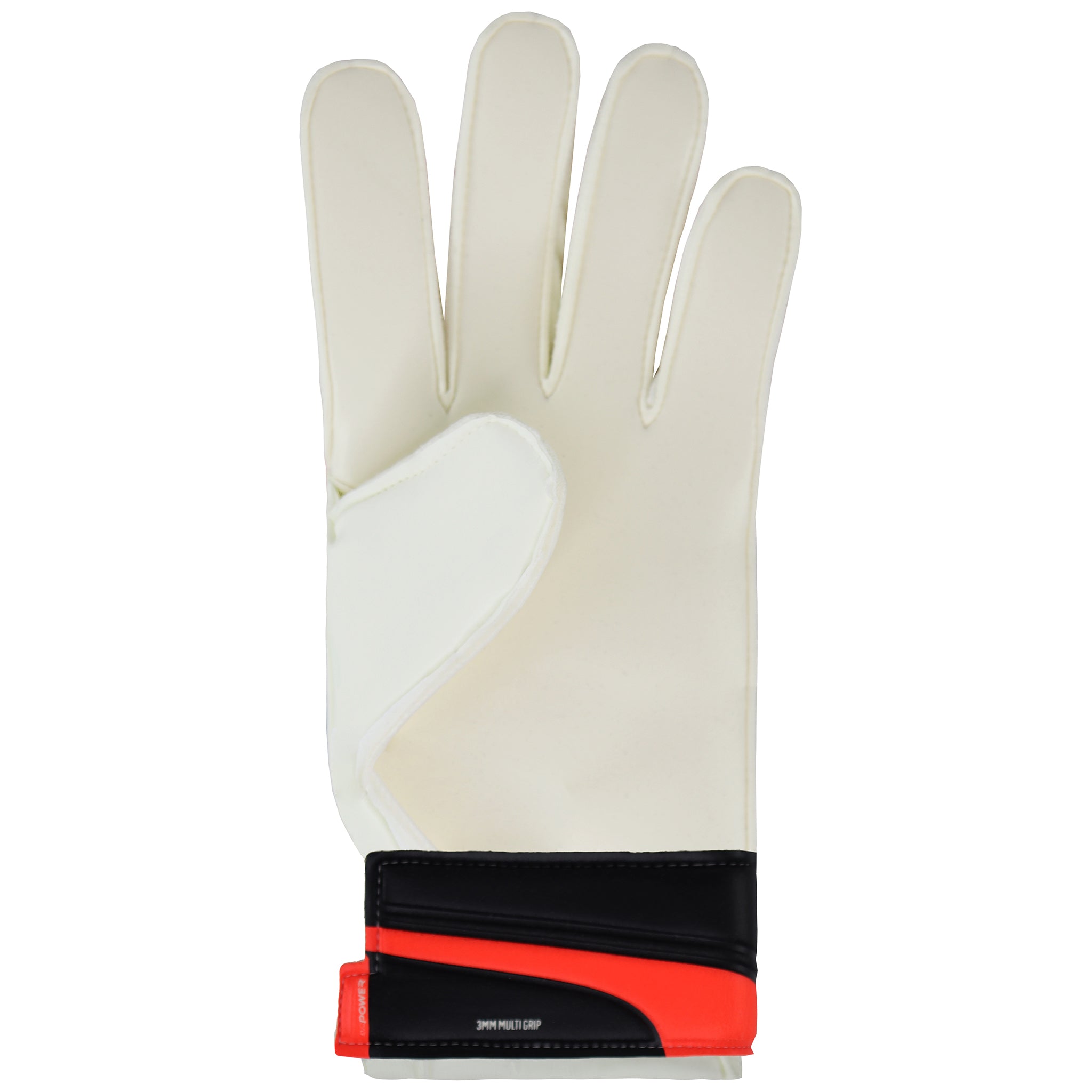 Puma Evo Power Protect Goalkeeper Gloves