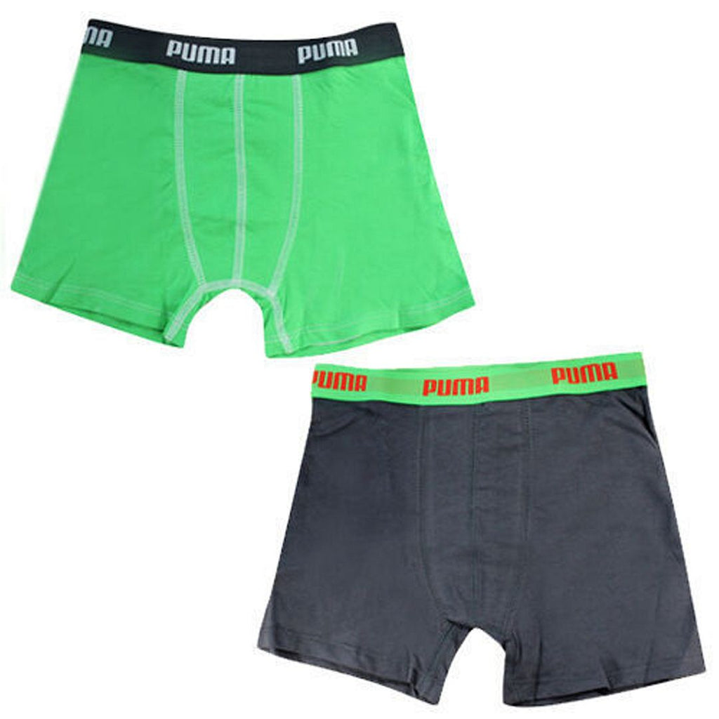 Puma 2-Pack Stretch Waist BottomGrey Green Kids Boxer Shorts 515001001 GREY/GEEN