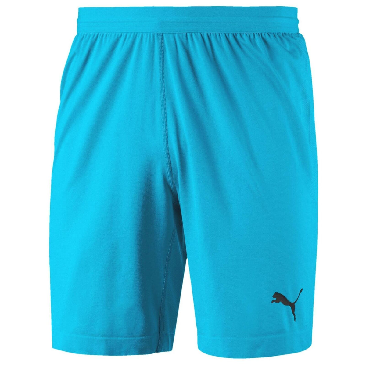 Puma Mens Final Evoknit Shorts Blue Training Running Pants 703455 08 XL