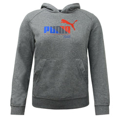 Puma TD Graphic Kids Grey Hoodie