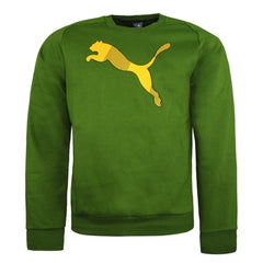 Puma Mens Active KA Green Jumper