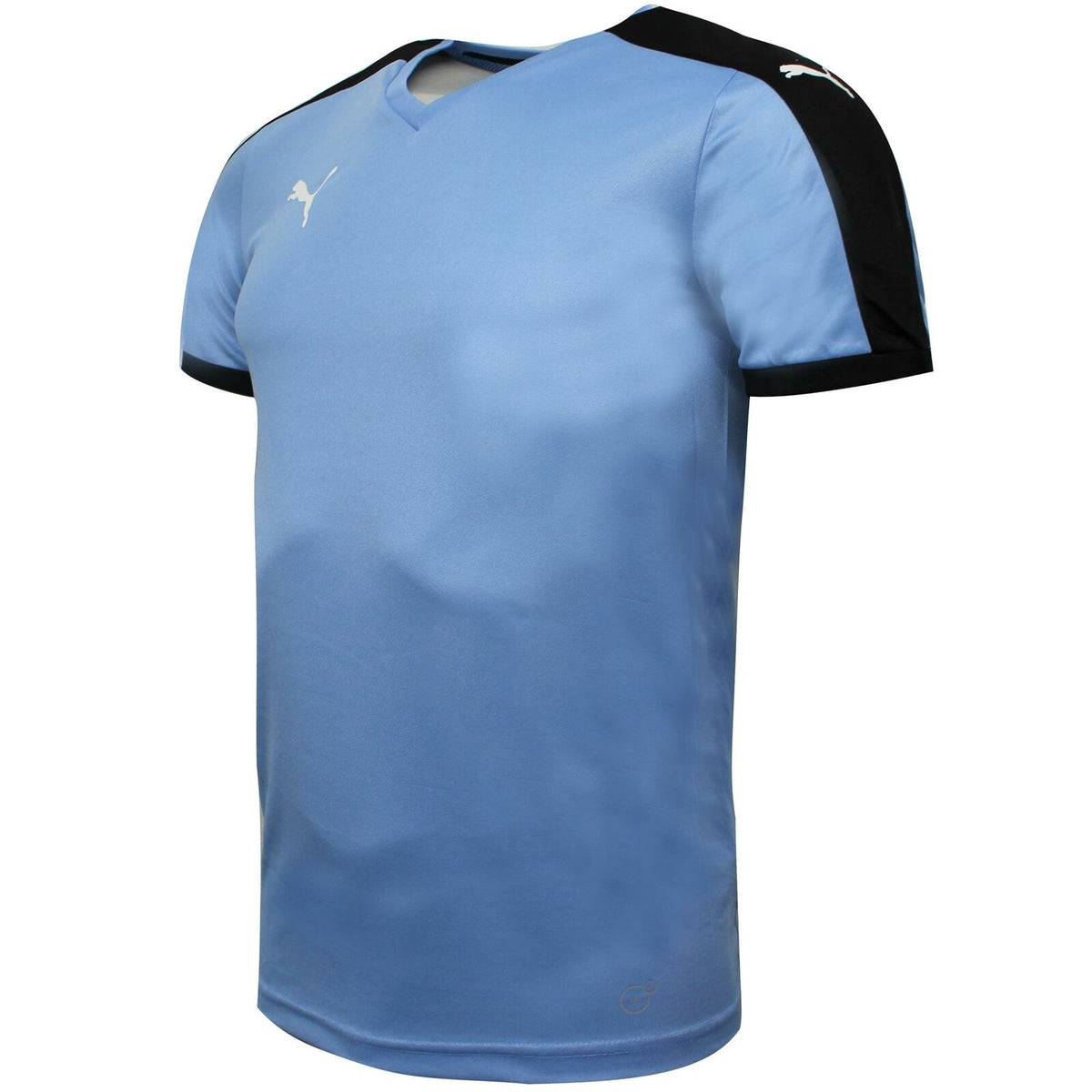 Puma Pitch Mens Blue T-Shirt