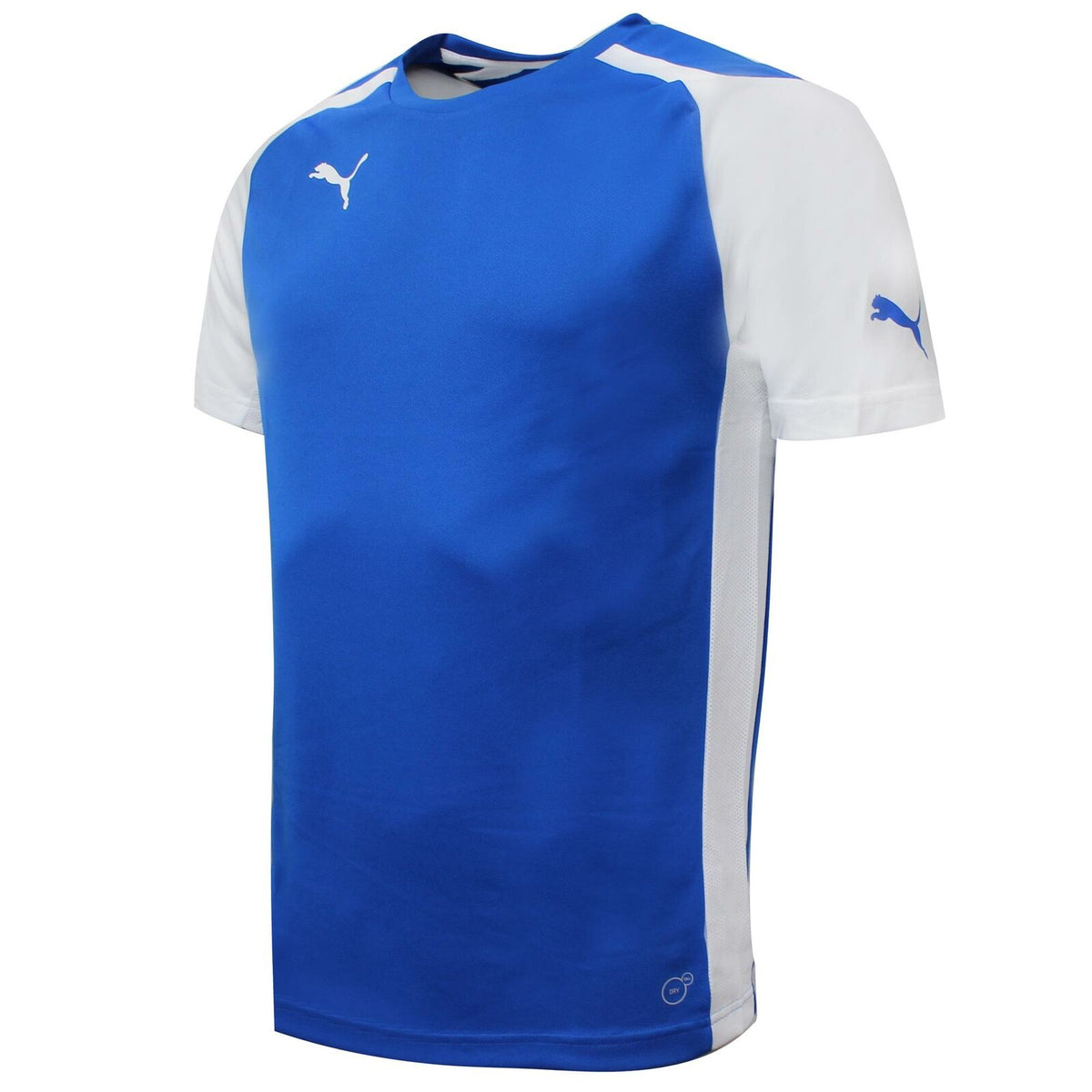 Puma Speed Mens Blue/White T-Shirt