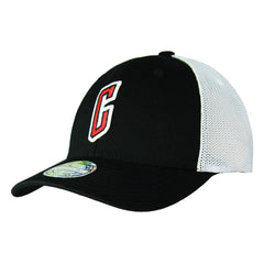 Mitchell & Ness Chicago Bulls Mens Cap